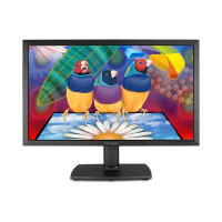 A ViewSonic VA2451 LED 24" IPS monitor displays a vivid image of three brightly painted birds perched on a flower, set against an abstract, multicolored background.