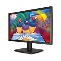A ViewSonic VA2451 LED 24" IPS Full HD monitor showcases three colorful birds perched on a large daisy with a bright, abstract background.