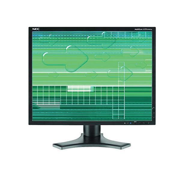 NEC MultiSync 2190UXp Professional 4:3 21