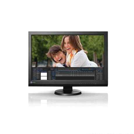 EIZO CG246 IPS LCD Monitor FHD 24" Display DVI HDMI B-Grade