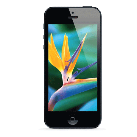 Apple A1429 iPhone 5 32GB Space Grey Unlocked Smartphone | B-Grade AU Stock