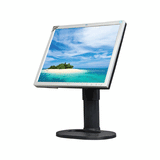 HP L1925 19" 1280x1024 12ms 5:4 DVI VGA Monitor | NO STAND 3mth Wty