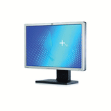 HP LP2465 24" LCD 1920x1200 6ms 16:10 VGA DVI Monitor | NO STAND B-Grade