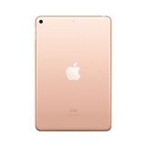 Apple iPad Mini 5th Gen 7.9" 256GB WIFI + Cell Gold AU STOCK | Wty