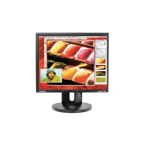 Samsung SyncMaster 172N 17" 25ms 5:4 1280x1024 VGA Monitor | 3mt Wty