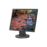 Samsung SyncMaster 940s 19" 1280x1024 8ms 4:3 VGA DVI LCD Monitor | NO STAND