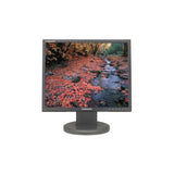 Samsung SyncMaster 940s 19" 1280x1024 8ms 4:3 VGA DVI LCD Monitor | NO STAND